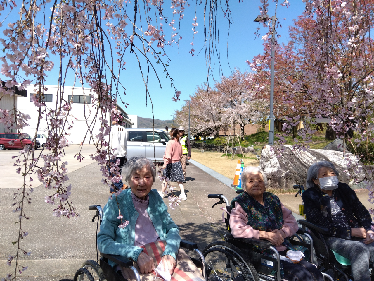 お花見に行ってきました！(ホーム)